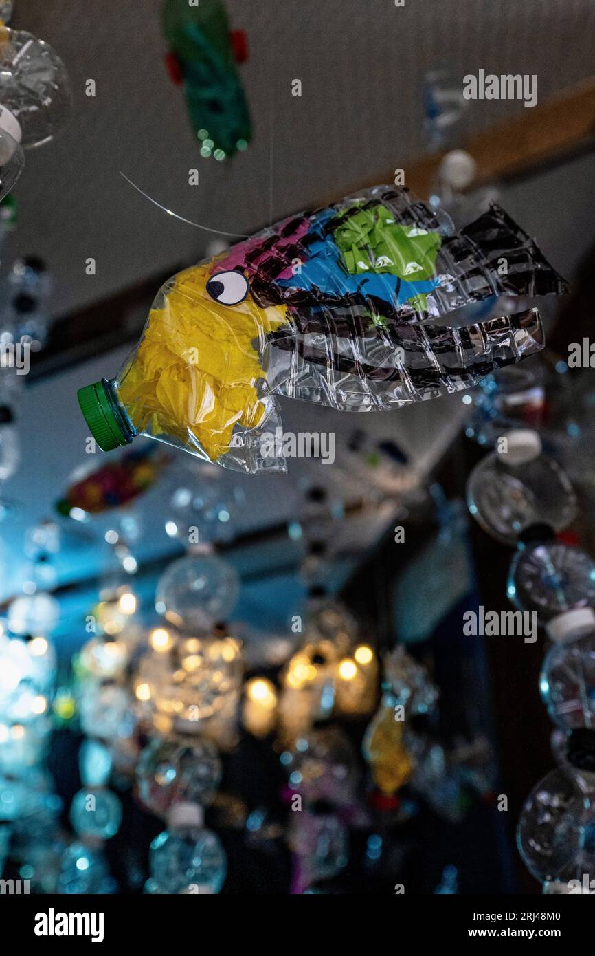 Kélonia, centro di cura delle tartarughe marine sull'isola di Réunion, dedicato alla riabilitazione, alla conservazione e all'educazione sulla protezione della vita marina. Foto Stock