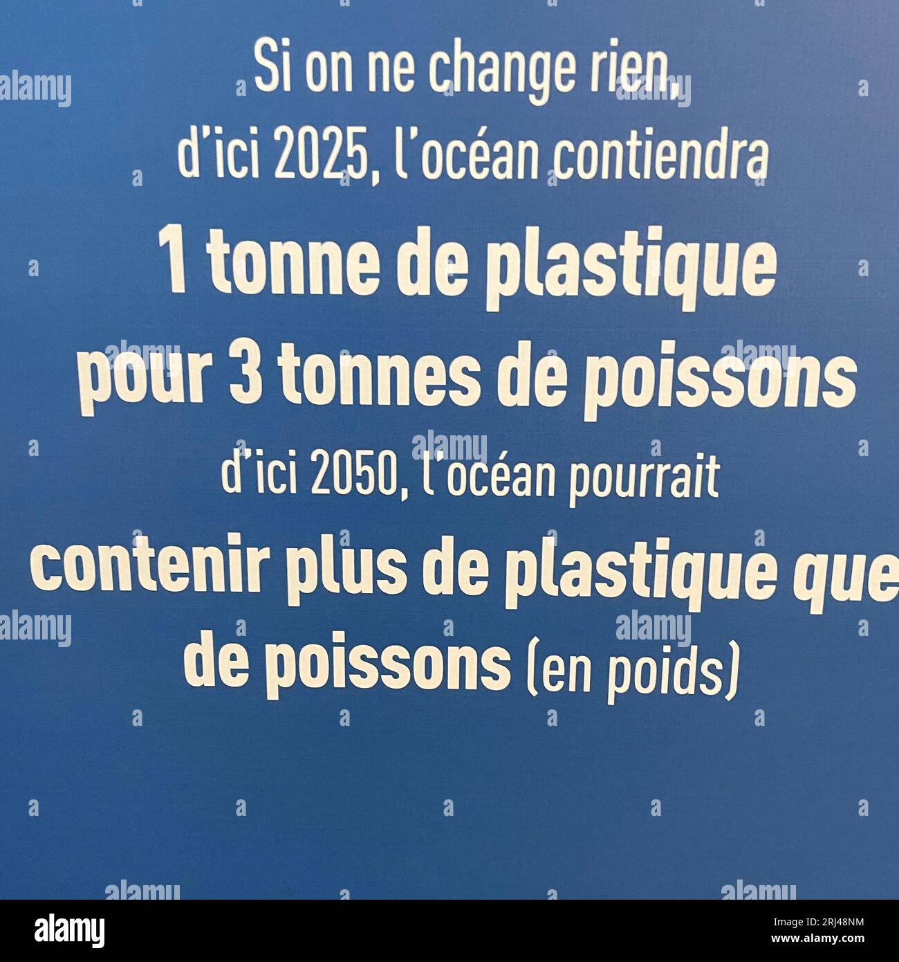 Kélonia, centro di cura delle tartarughe marine sull'isola di Réunion, dedicato alla riabilitazione, alla conservazione e all'educazione sulla protezione della vita marina. Foto Stock