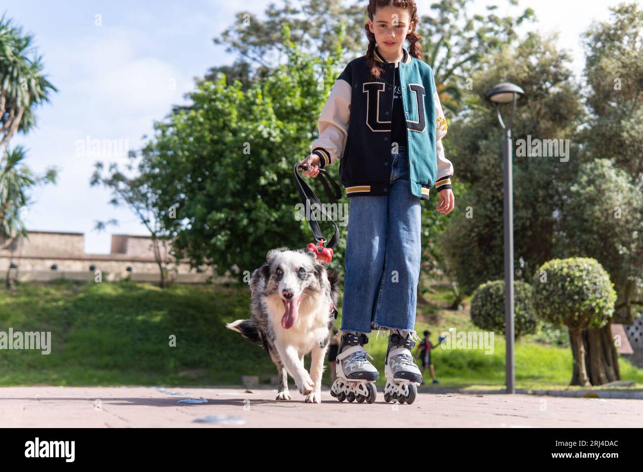Una ragazza dai capelli rossi sui pattini a rotelle che cammina un cane nel parco Foto Stock