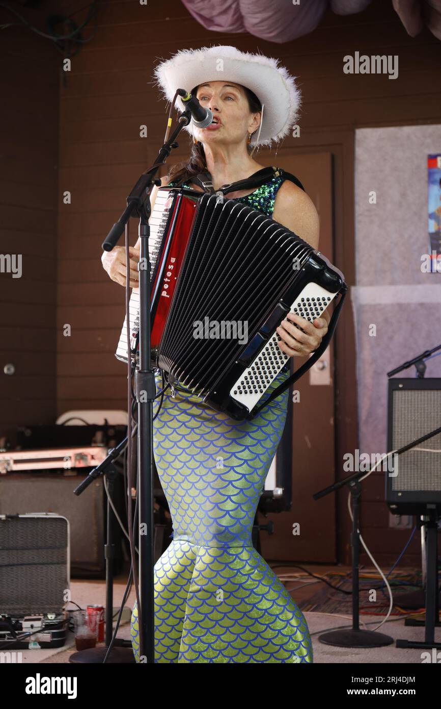 Cotati, California, USA. 20 agosto 2023. "These Darn Accordions" illumina il palco del 32° Festival annuale della fisarmonica di Cotati. Crediti: Tim Fleming/Alamy Live News Foto Stock