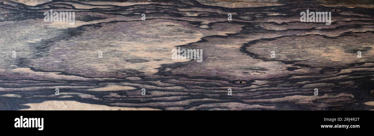 Struttura naturale in legno di ebano bianco e nero Foto Stock