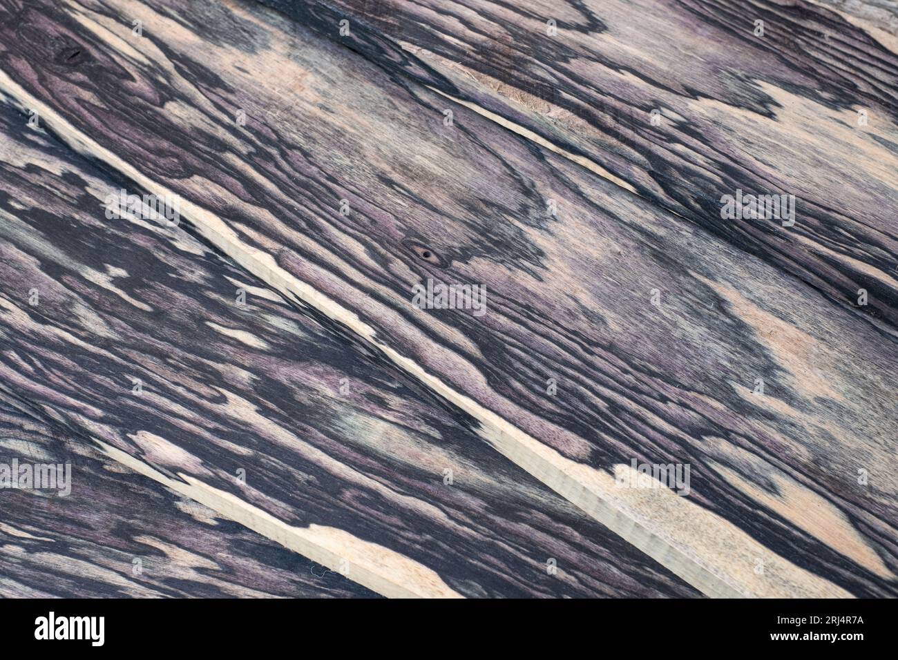 Struttura naturale in legno di ebano bianco e nero Foto Stock