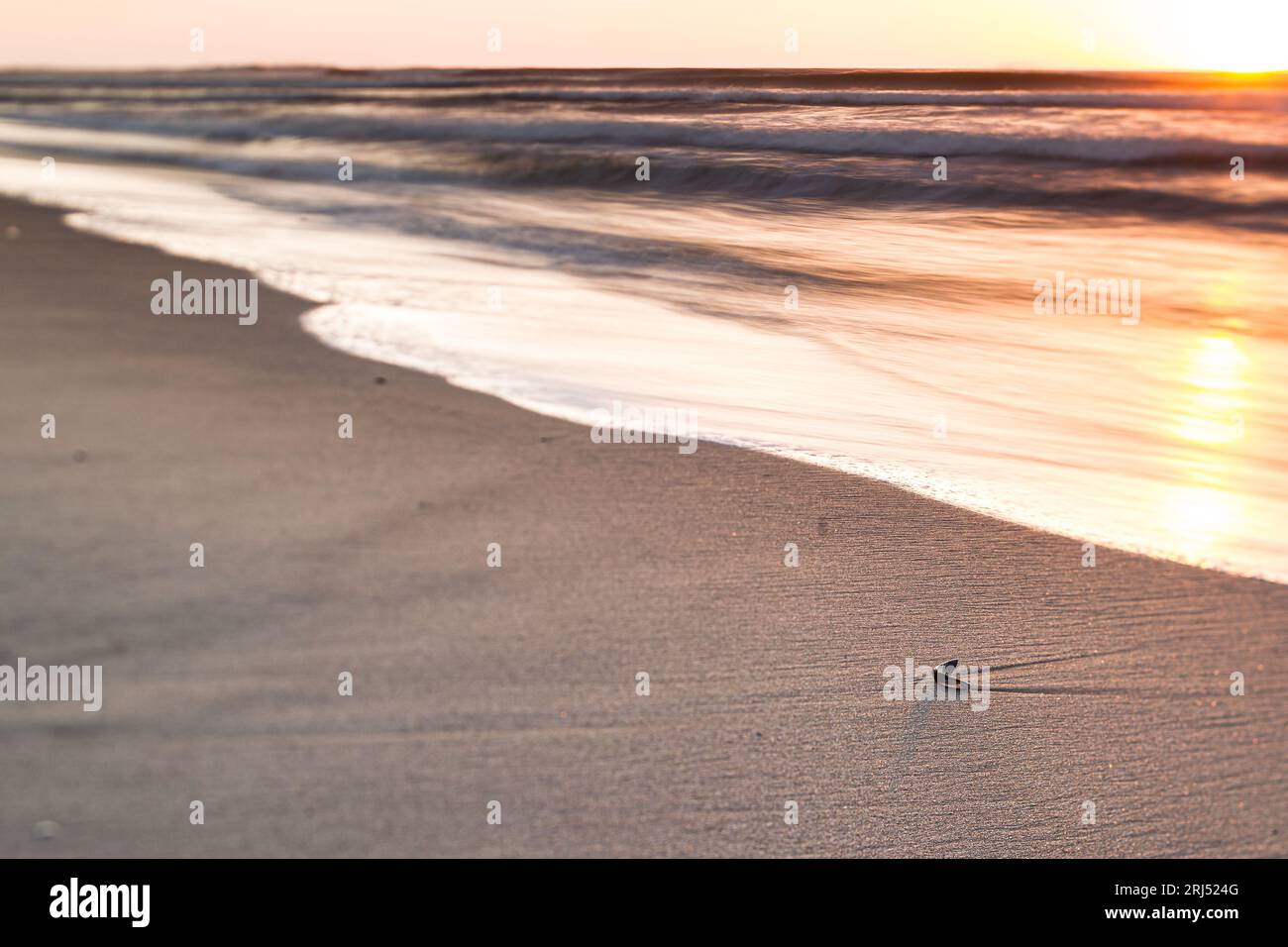 Riflesso della spiaggia al tramonto con foto panoramiche a bassa velocità dell'otturatore con funzione di spostamento dell'inclinazione Foto Stock