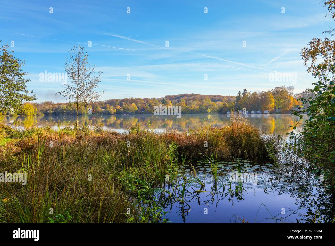 Wesslinger SEE a Wessling, nel distretto di Starnberg, in Baviera. Paesaggio autunnale sul lago. Natura idilliaca. Foto Stock