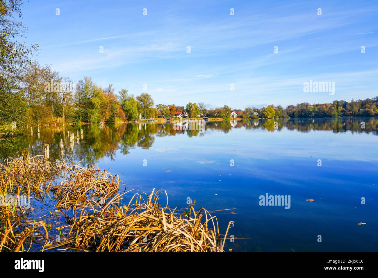 Wesslinger SEE a Wessling, nel distretto di Starnberg, in Baviera. Paesaggio autunnale sul lago. Natura idilliaca. Foto Stock