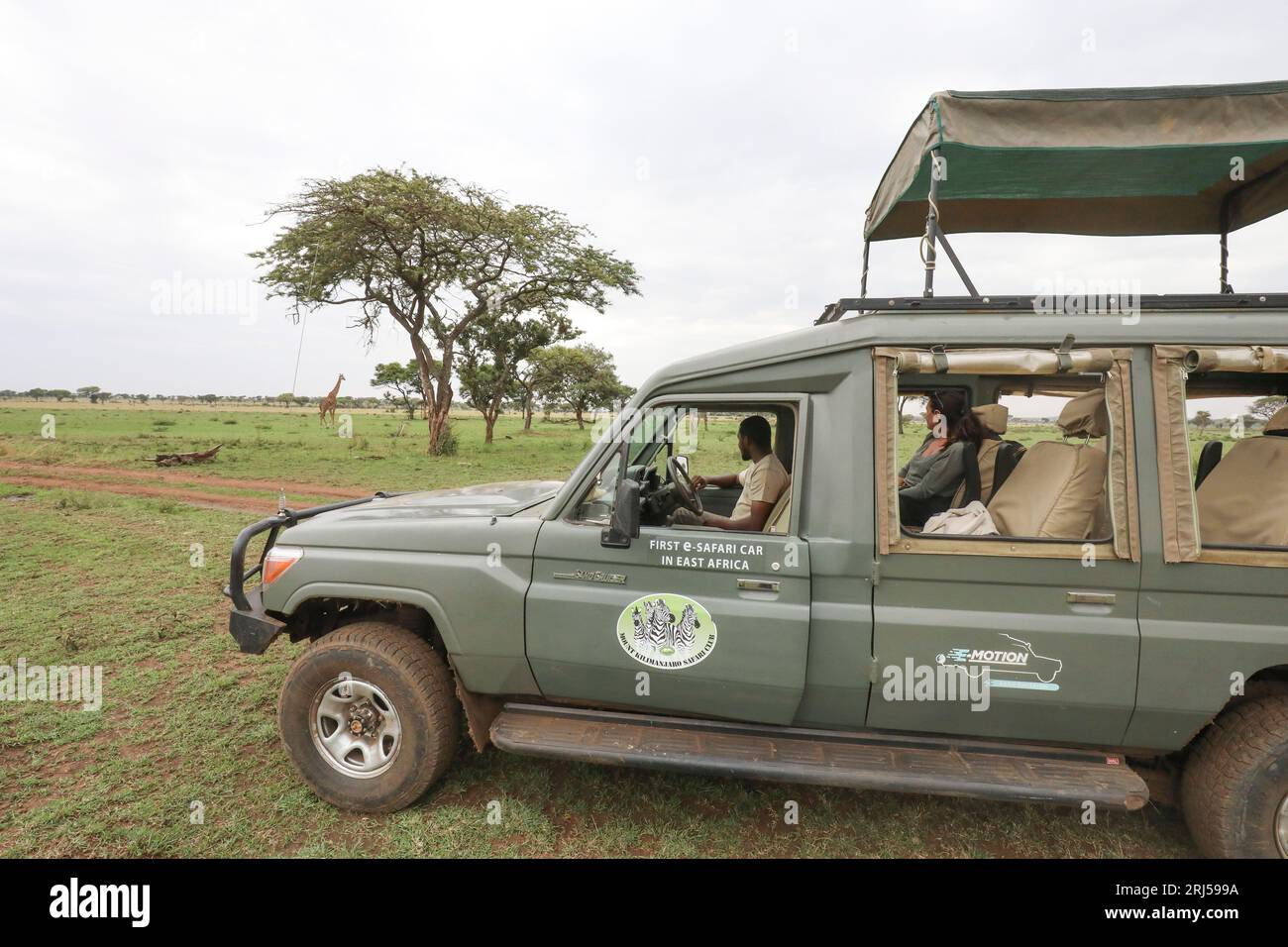 SAFARI CON AUTO ELETTRICHE Foto Stock