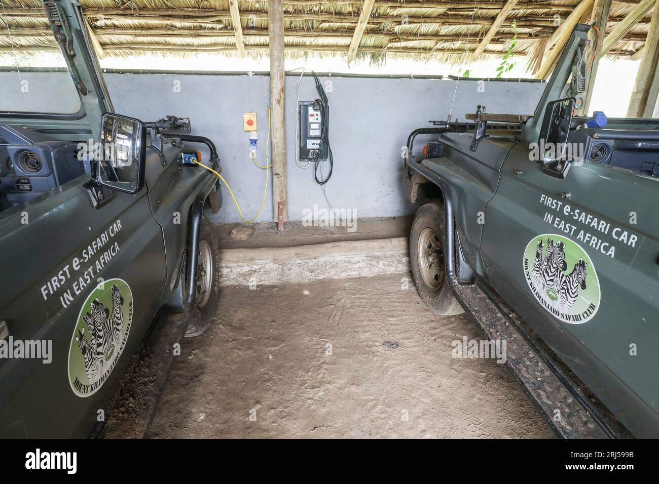 SAFARI CON AUTO ELETTRICHE Foto Stock