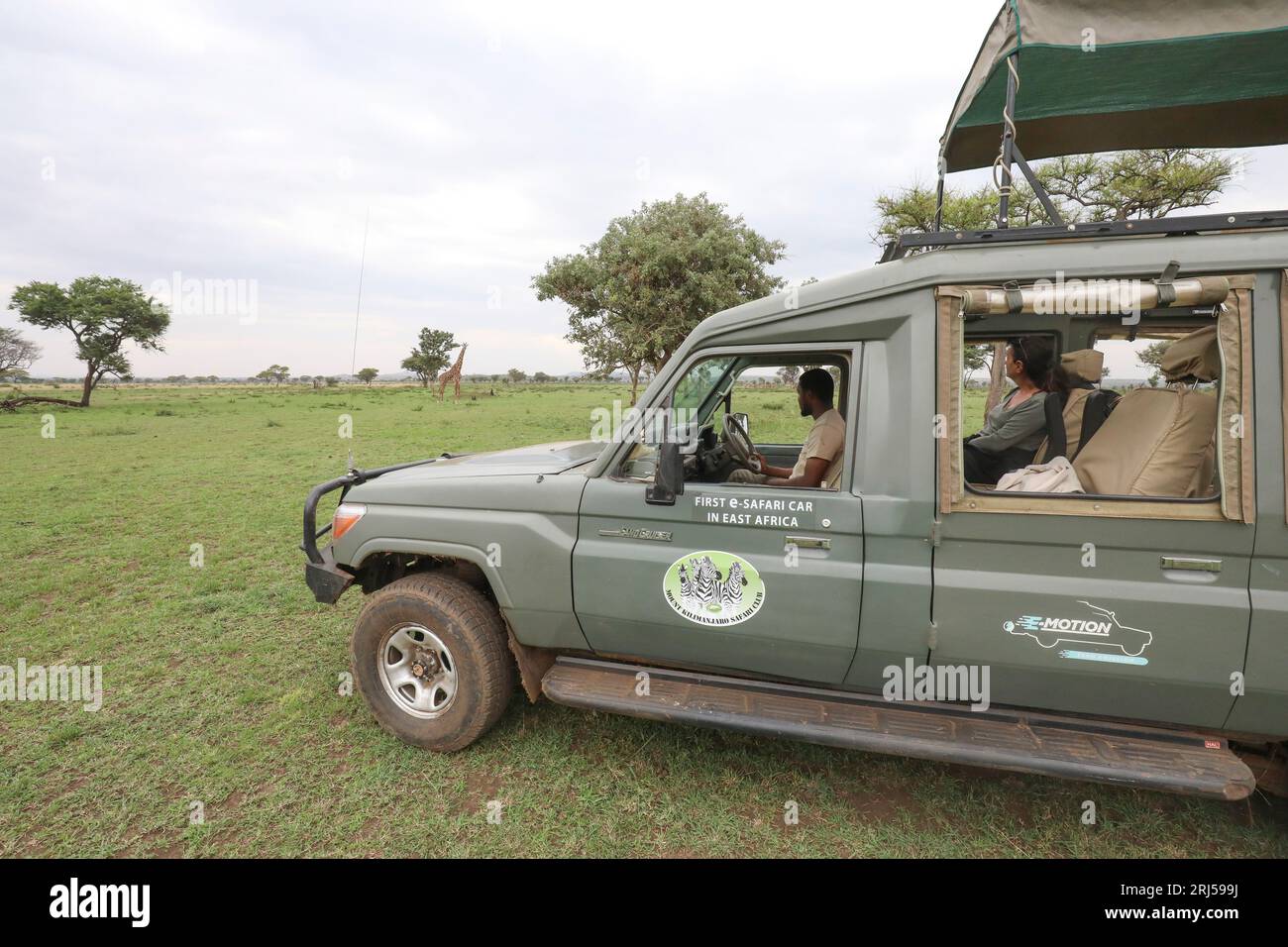 SAFARI CON AUTO ELETTRICHE Foto Stock