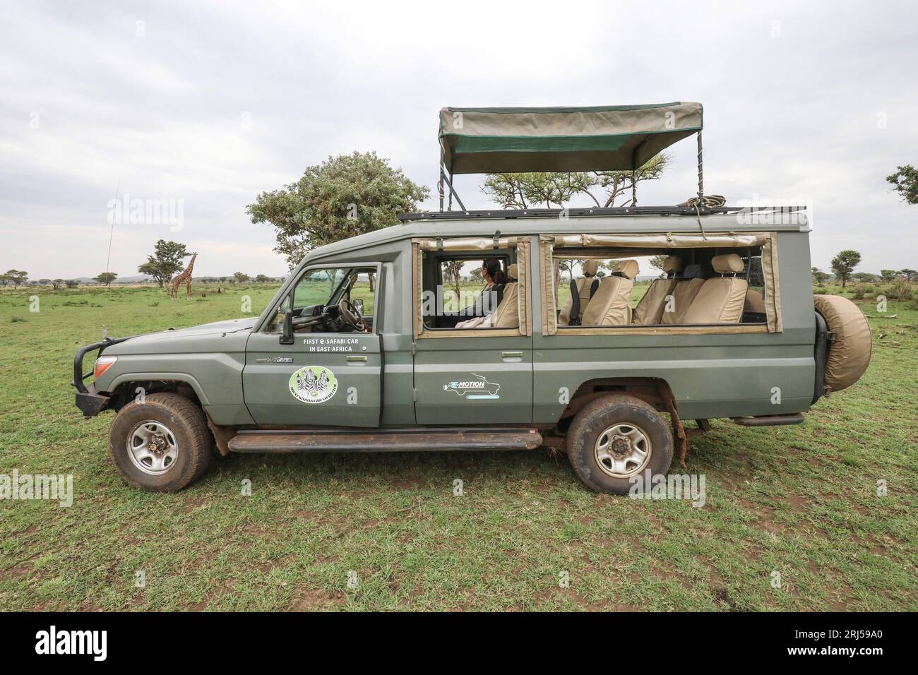 SAFARI CON AUTO ELETTRICHE Foto Stock