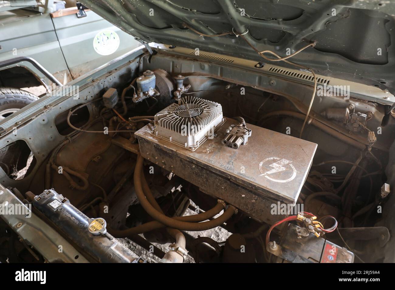 SAFARI CON AUTO ELETTRICHE Foto Stock