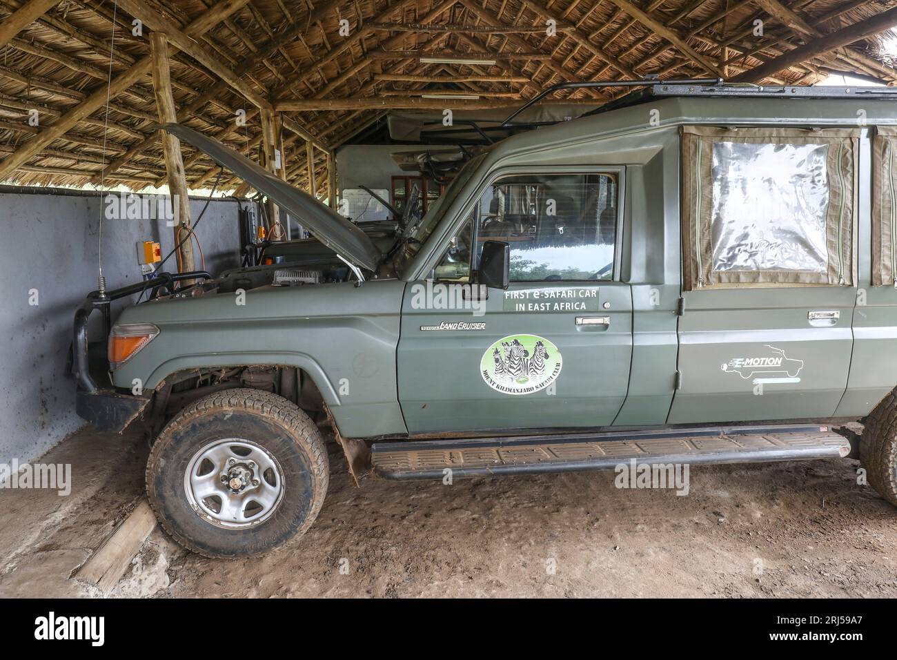 SAFARI CON AUTO ELETTRICHE Foto Stock