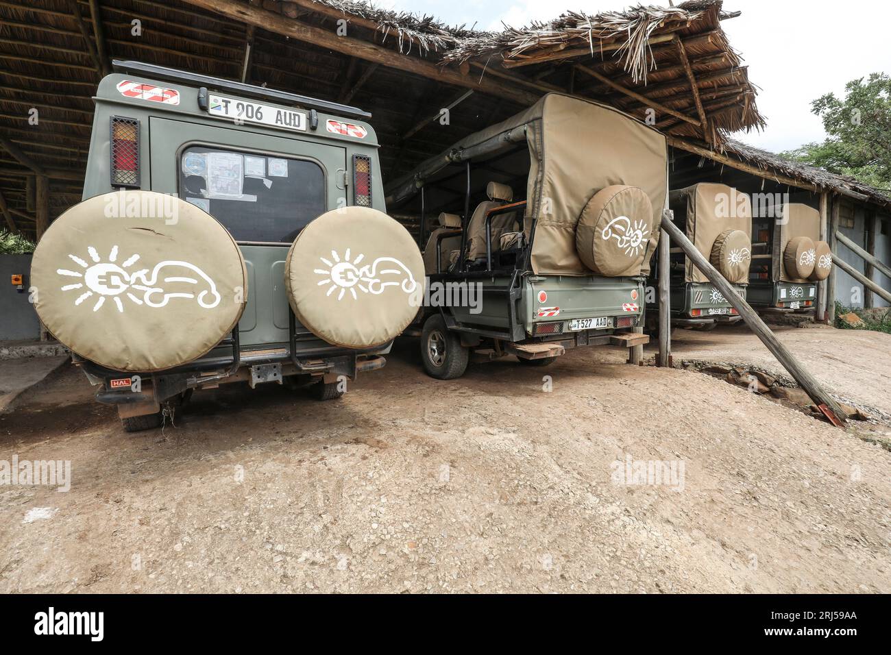 SAFARI CON AUTO ELETTRICHE Foto Stock