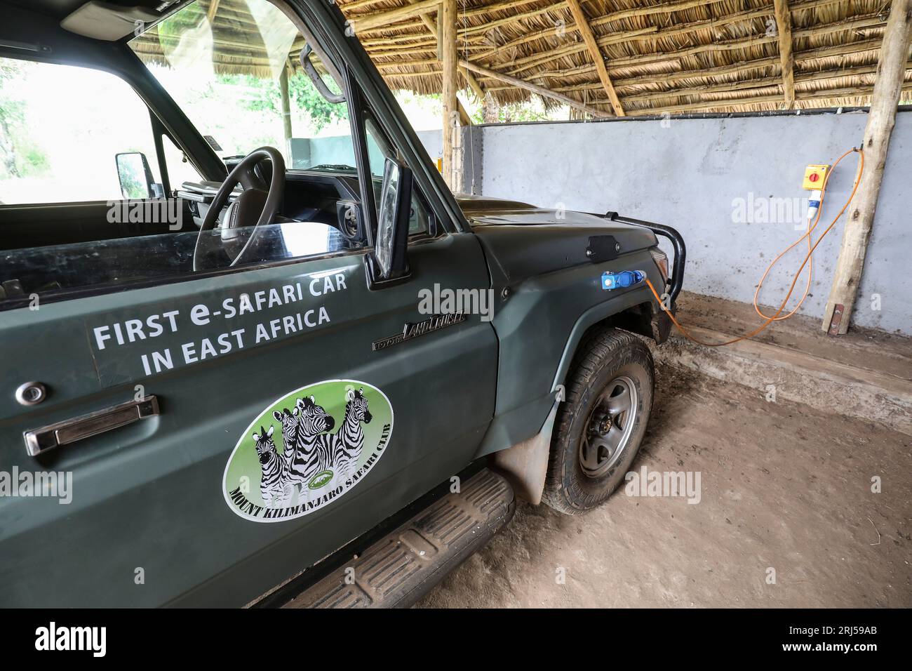 SAFARI CON AUTO ELETTRICHE Foto Stock