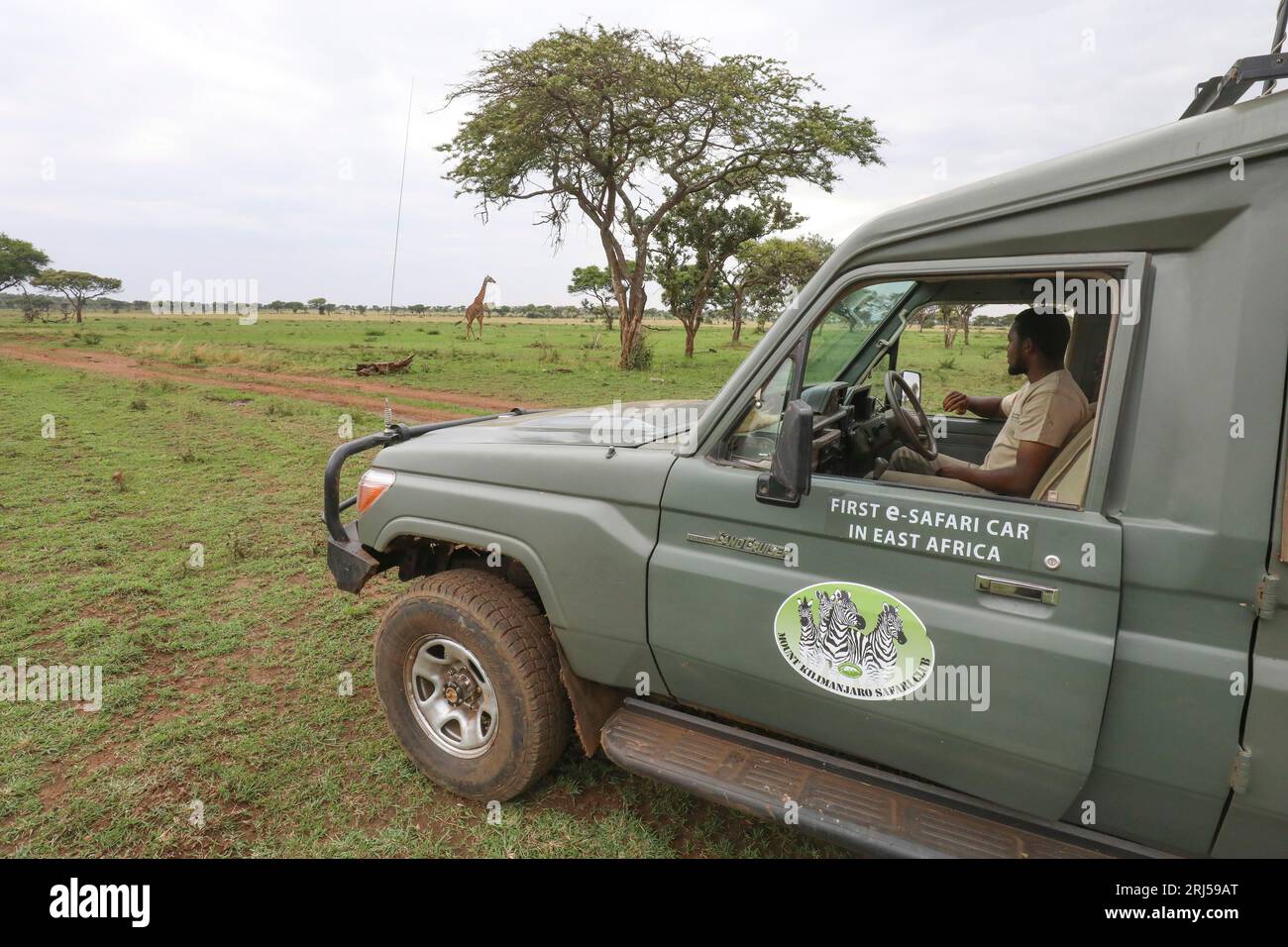 SAFARI CON AUTO ELETTRICHE Foto Stock