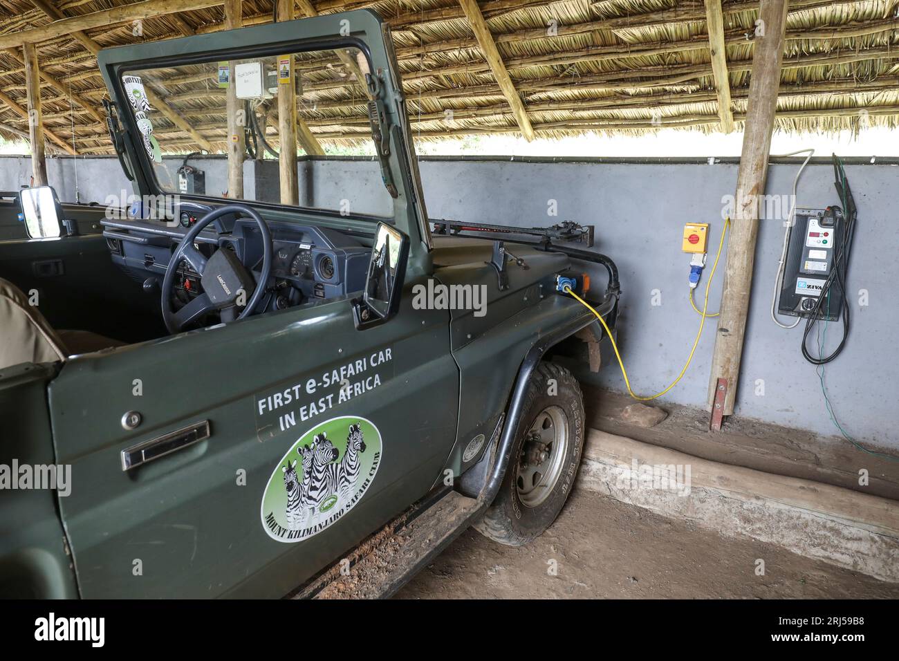 SAFARI CON AUTO ELETTRICHE Foto Stock