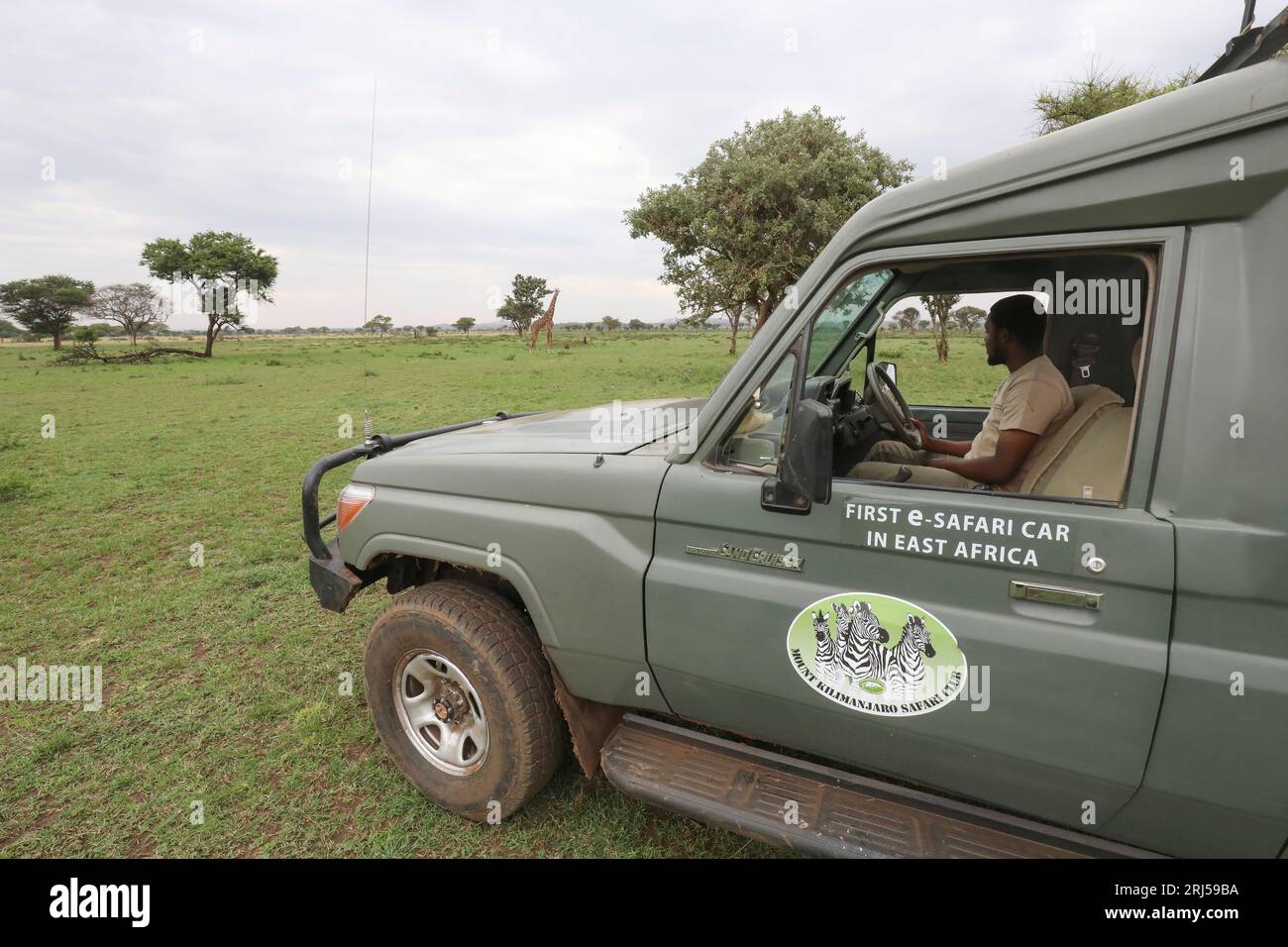 SAFARI CON AUTO ELETTRICHE Foto Stock