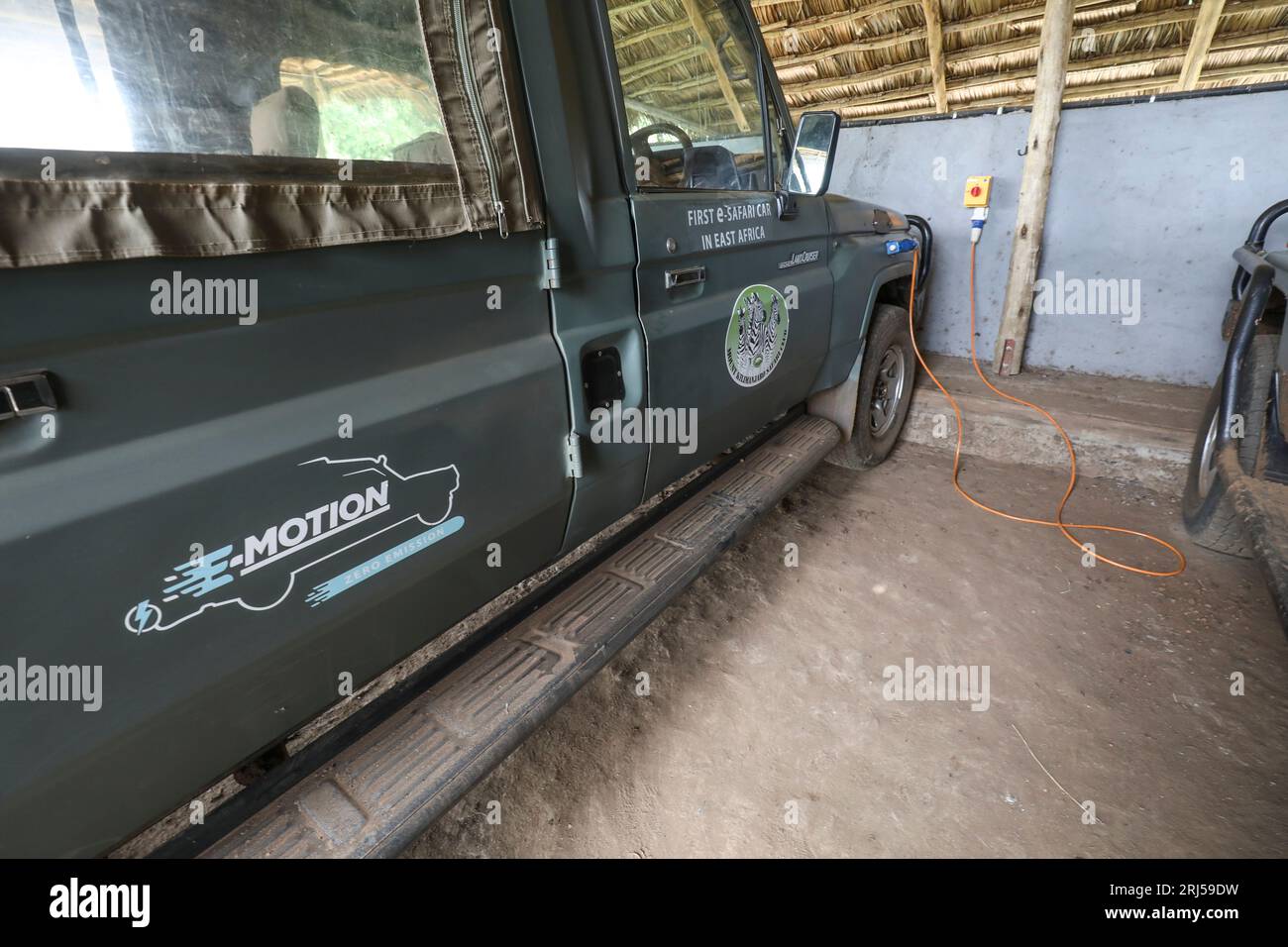 SAFARI CON AUTO ELETTRICHE Foto Stock