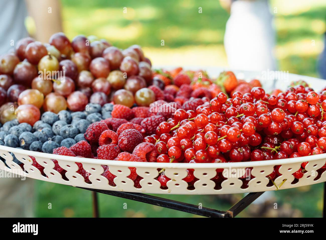Frutti di bosco freschi, frutti di bosco, mirtilli, ribes rosso, lamponi, uva e fragole su un piatto nel cortile durante un picnic in estate Foto Stock