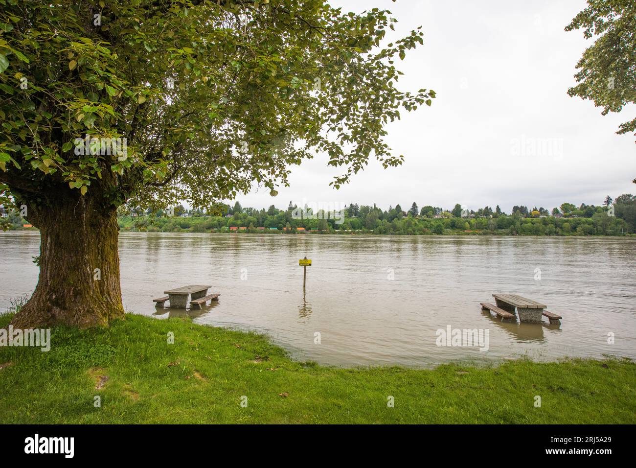 Area picnic allagata lungo il fiume Fraser, British Columbia, Canada. Foto Stock