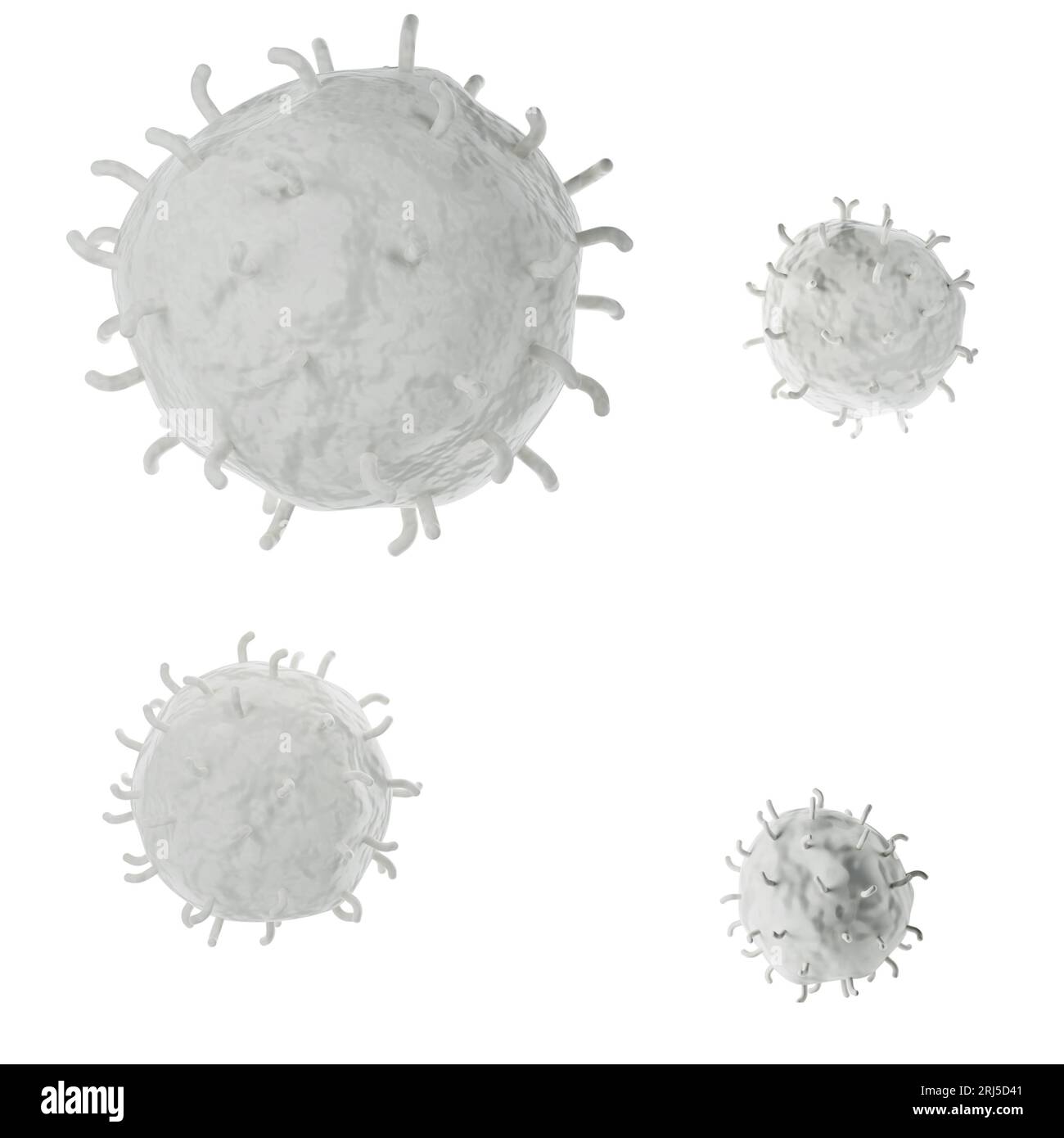 Analisi realistica delle icone dei globuli bianchi 3D. Illustrazione medica dei leucociti su sfondo bianco con percorso di ritaglio Foto Stock