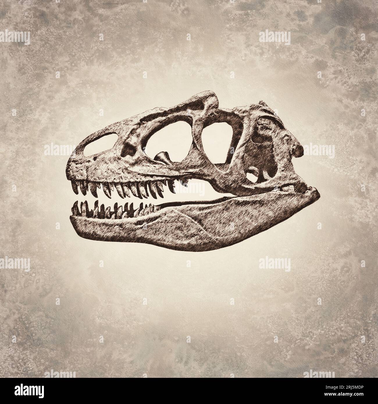 Tyrannosaurus Rex cranio Foto Stock
