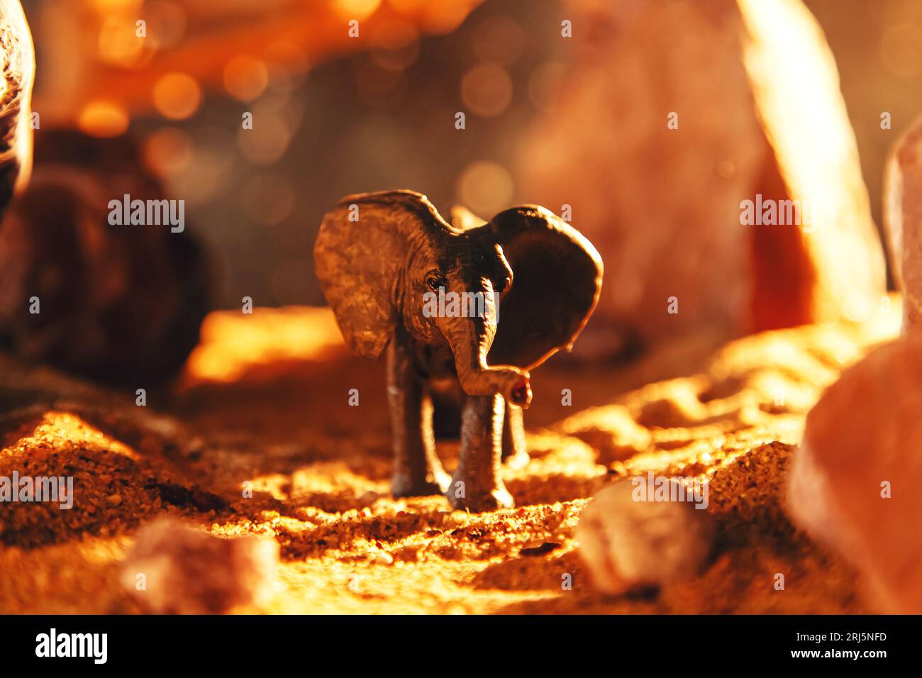 Elefante in una gola rocciosa di notte. Scenario creativo con una piccola miniatura. Foto Stock