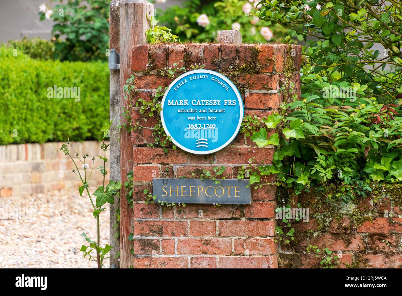 Mark Catesby Naturalist and Botanist Blue Plaque Sign, Essex England UK Foto Stock