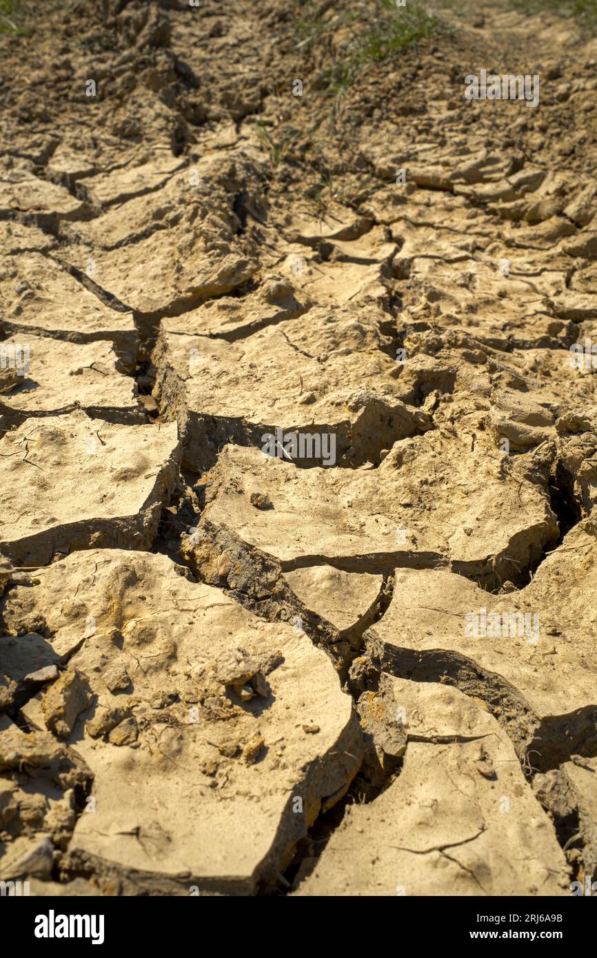 Un paesaggio arido caratterizzato da una terra incrinata. Mancanza di acqua piovana nel Regno Unito. Foto Stock