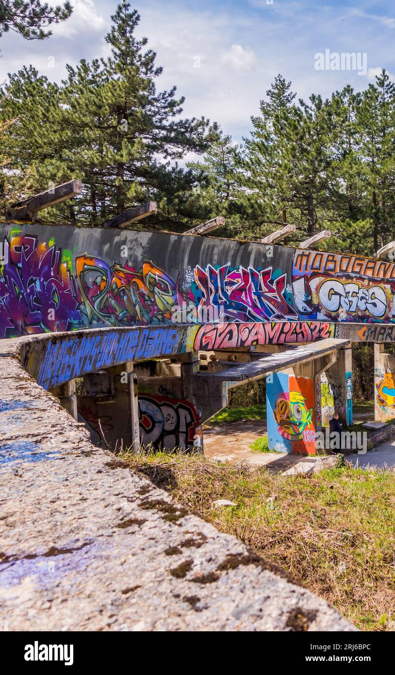 una mini rampa per skateboard completamente coperta di graffiti nel mezzo di una foresta Foto Stock