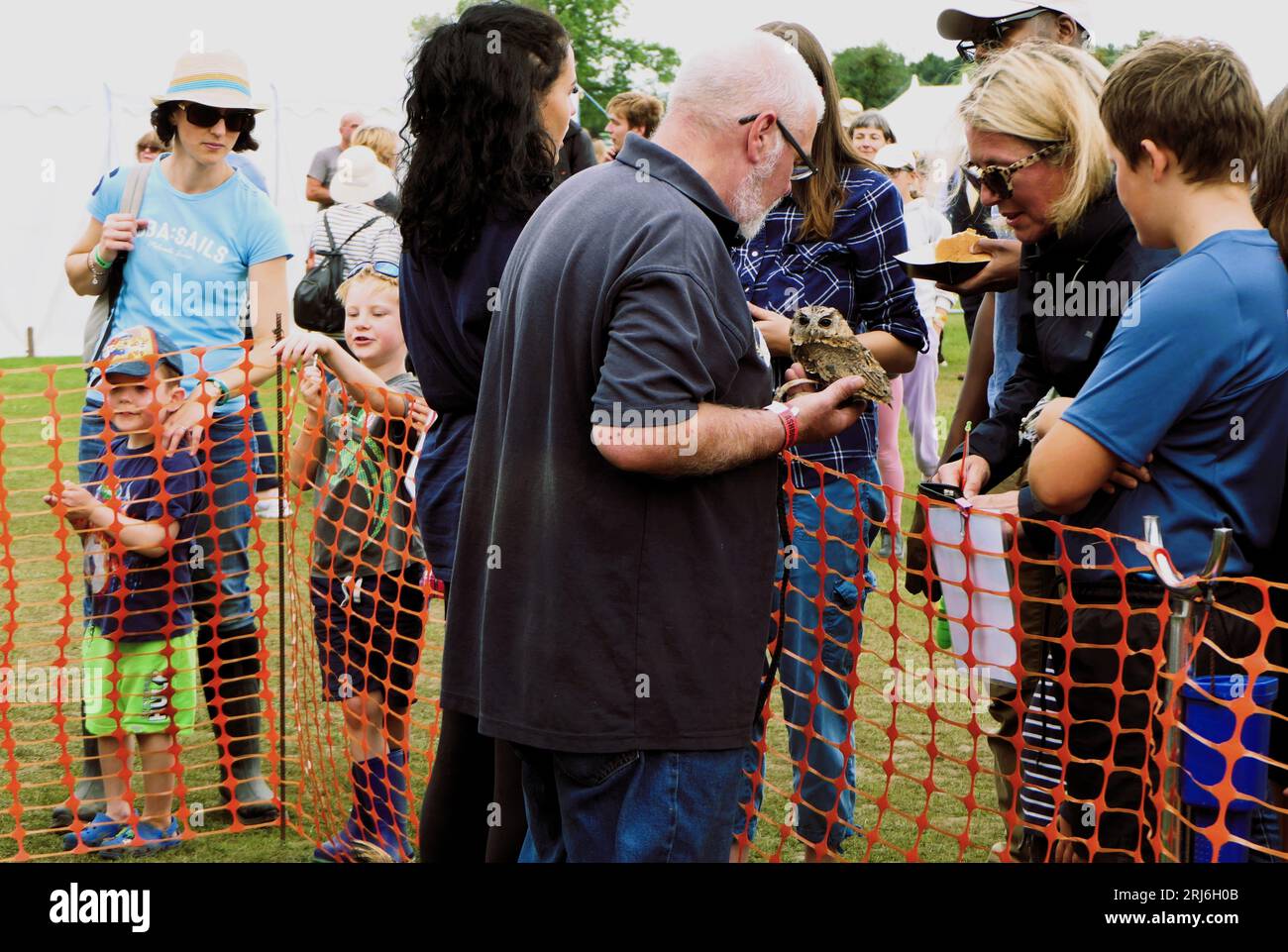 Majestic Owls Lek all'Ashbourne Show, Regno Unito Foto Stock
