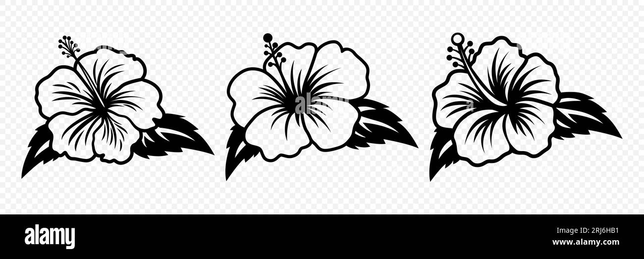 Vettore monocromatico contorno inchiostro Hibiscus. Set di rose cinesi. Elementi di design floreali. Hibiscus Flower Linear icona bianca e nera, tatuaggio. Ibisco Illustrazione Vettoriale