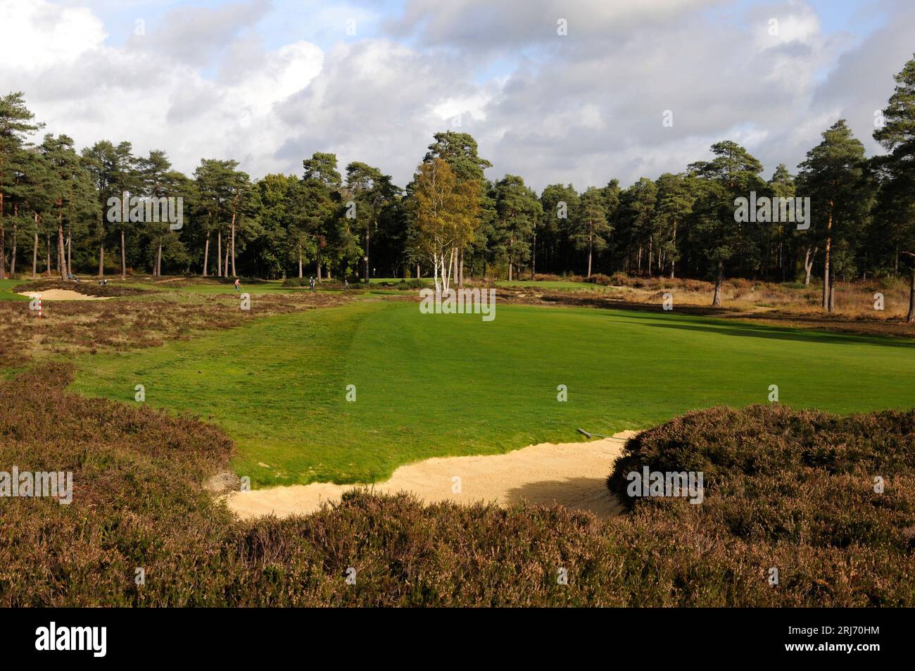 Vista su Heathers e bunker di ritorno a Tee sul 3rd Hole, Hankley Common Golf Club, Farnham, Surrey, Inghilterra. Foto Stock