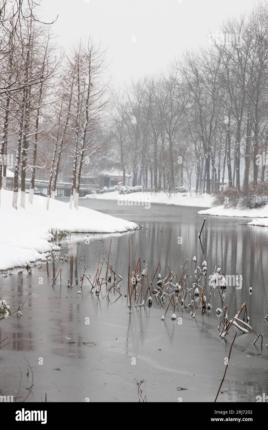 Le forti nevicate di Nanchino, la città coperta da un mondo bianco e bellissimo Foto Stock