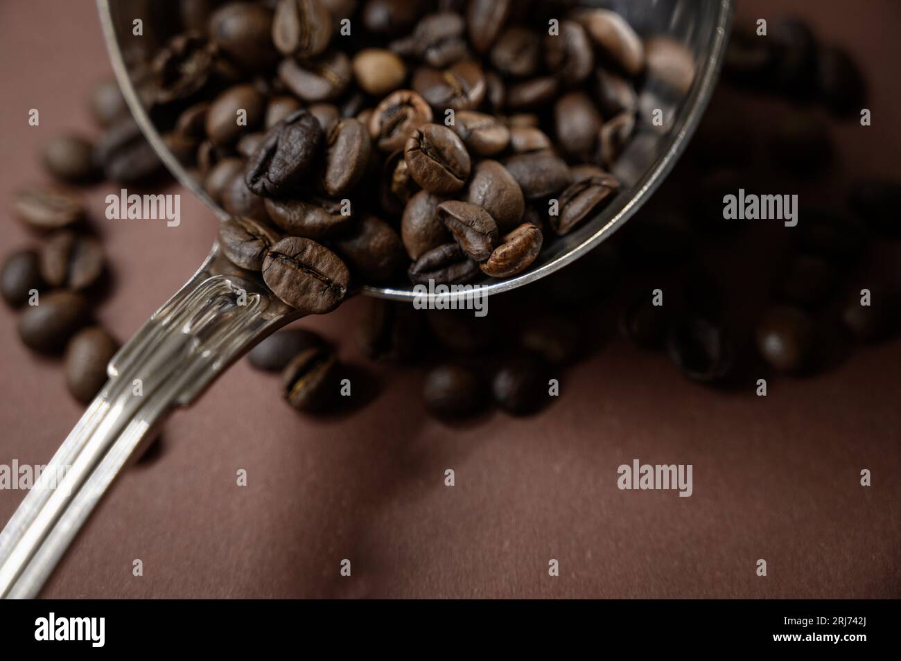 Primo piano di un cucchiaio d'argento contenente chicchi di caffè appena tostati. Foto Stock