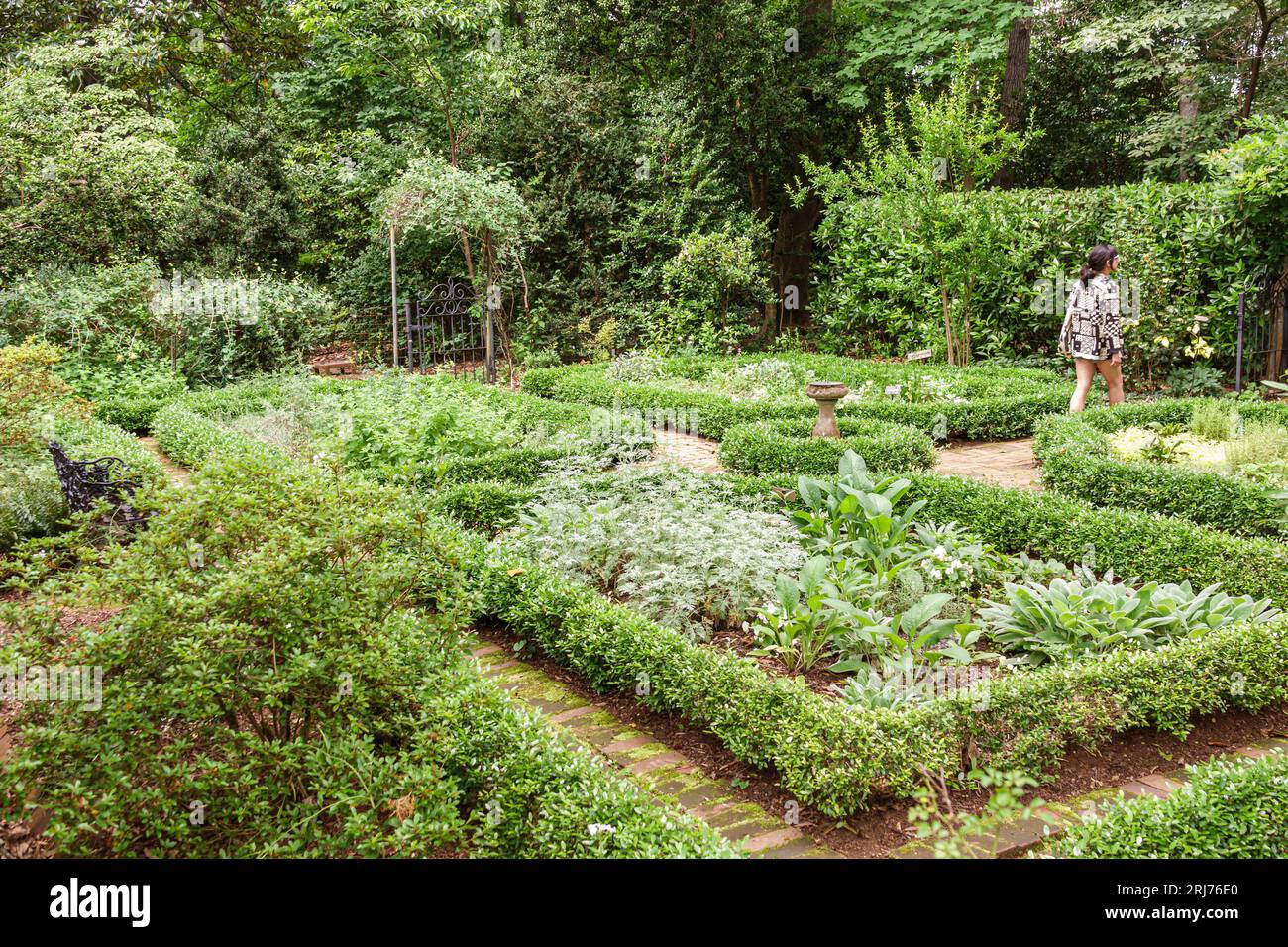 Charlotte, North Carolina, Myers Park, Ridgewood Avenue, Wing Haven Gardens e Bird Sanctuary, habitat naturale, flora e fauna selvatiche locali, giardini, Woman Wo Foto Stock