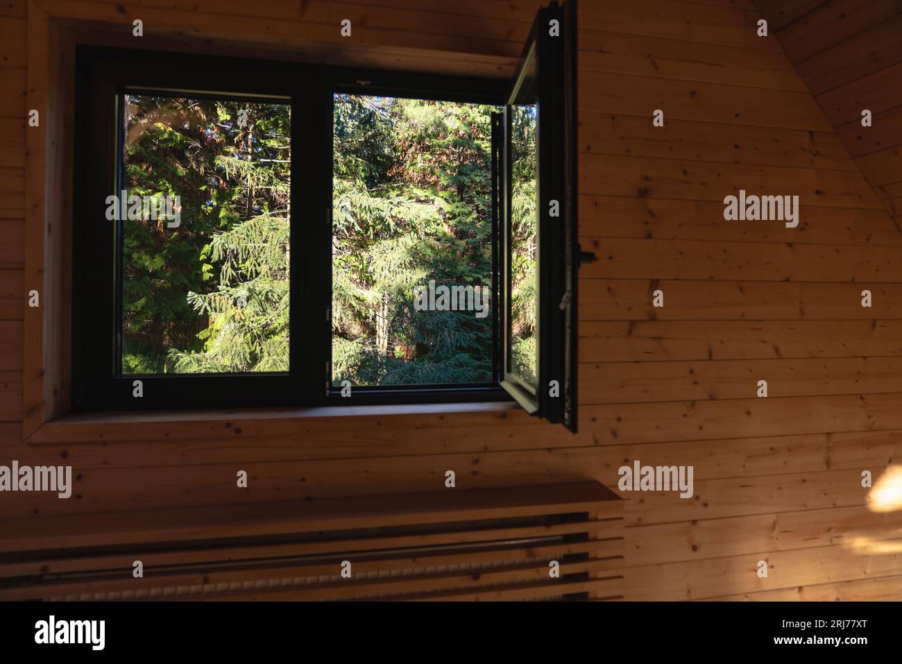 Finestra in una casa in legno con vista sul verde dei pini Foto Stock