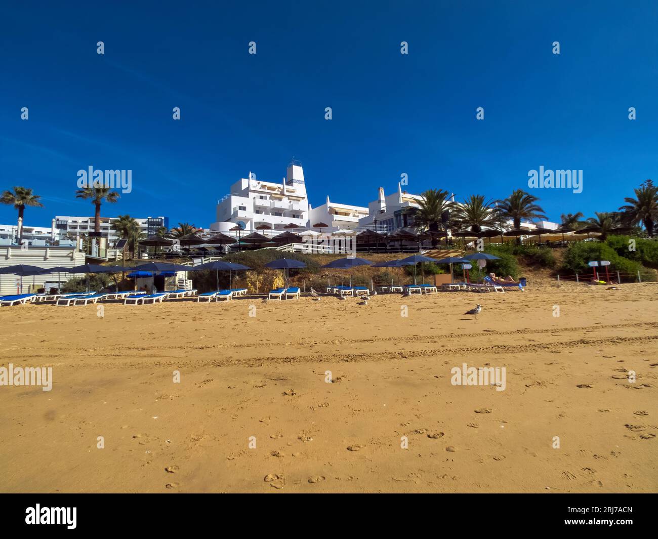 Praia da Oura è una spiaggia con bandiera blu all'interno del comune di Albufeira, in Algarve, Portogallo. La spiaggia si trova nel quartiere orientale di Albufeira i. Foto Stock