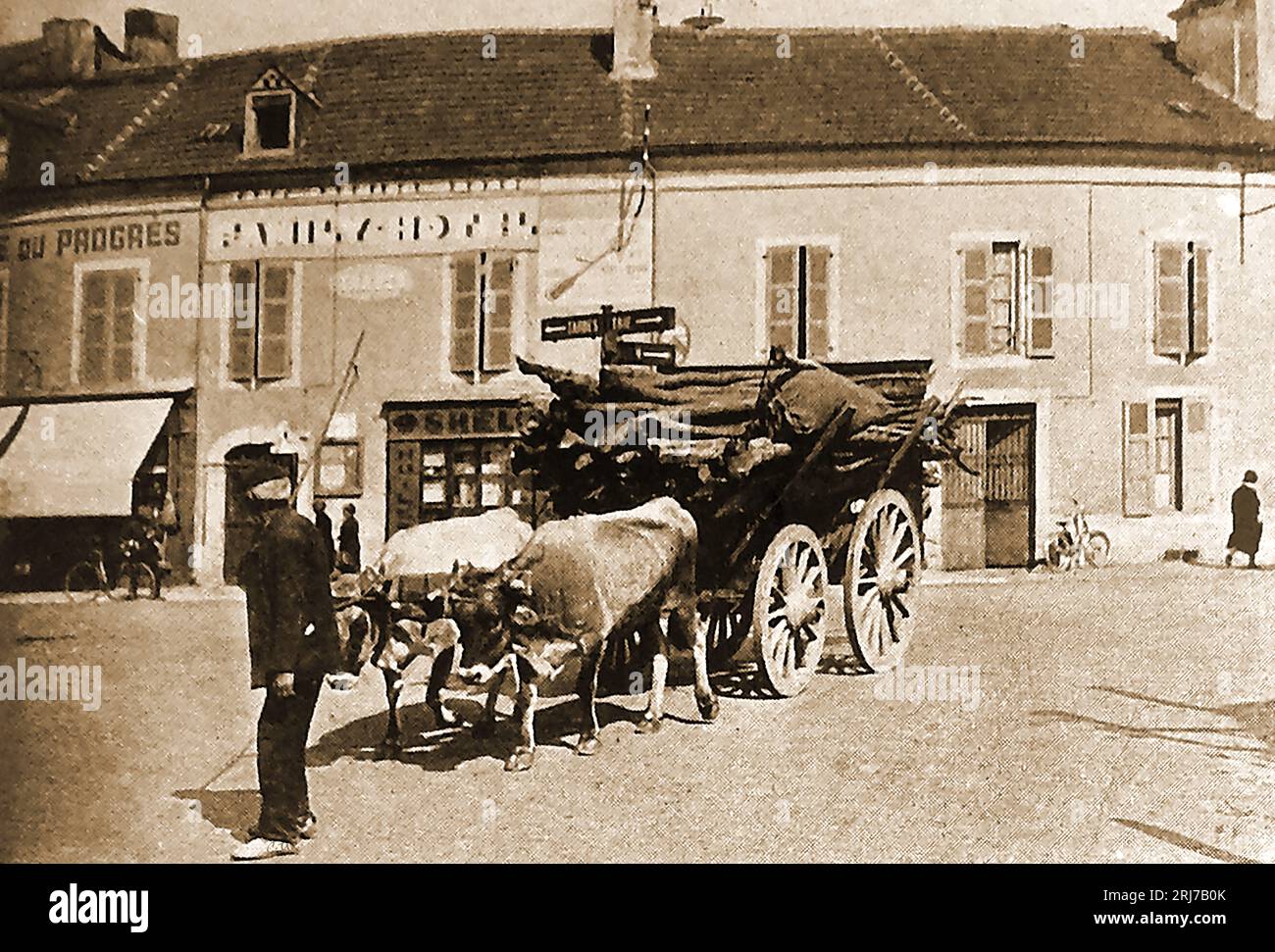 Francia 1939 - trasporto Bullock nei Pirenei, la France en 1939 - Transport de bœufs dans les Pyrénées Foto Stock