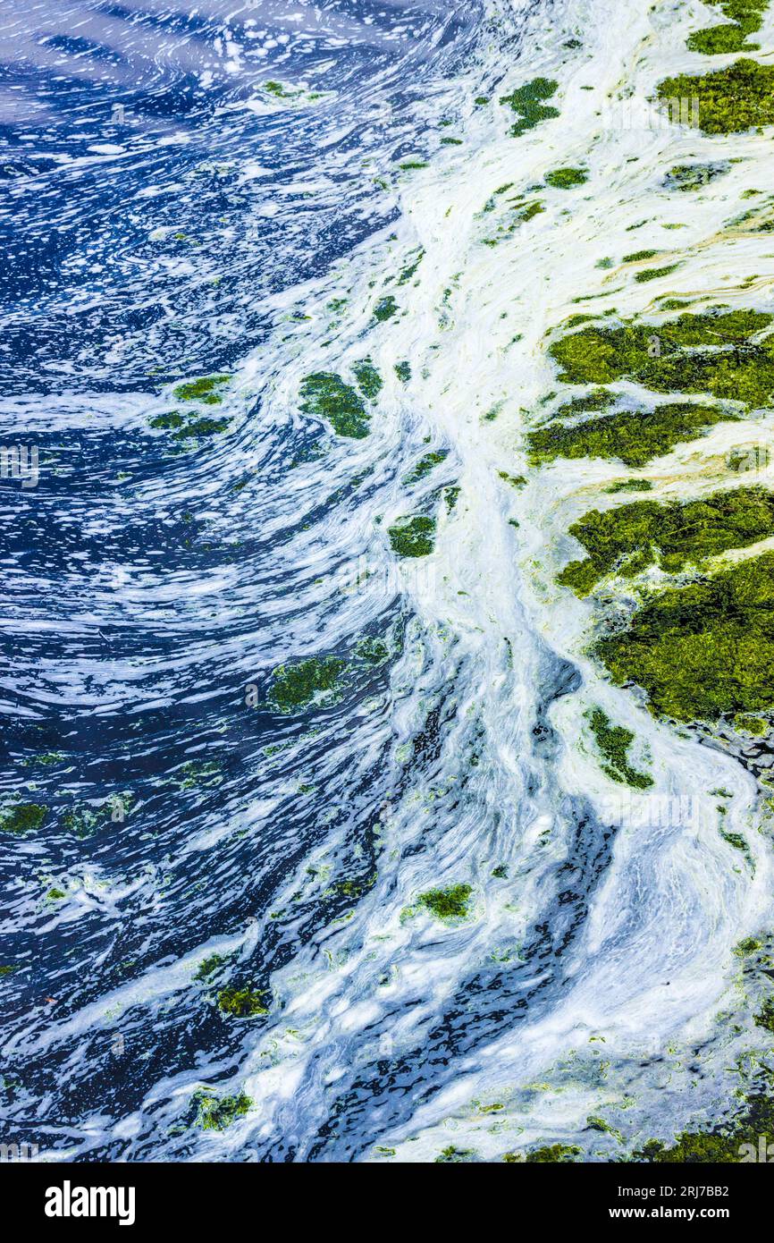 Uno schema naturale causato dalle correnti in un fiume lento. I tensioattivi naturali causano le strisce bianche spumeggianti. Foto Stock