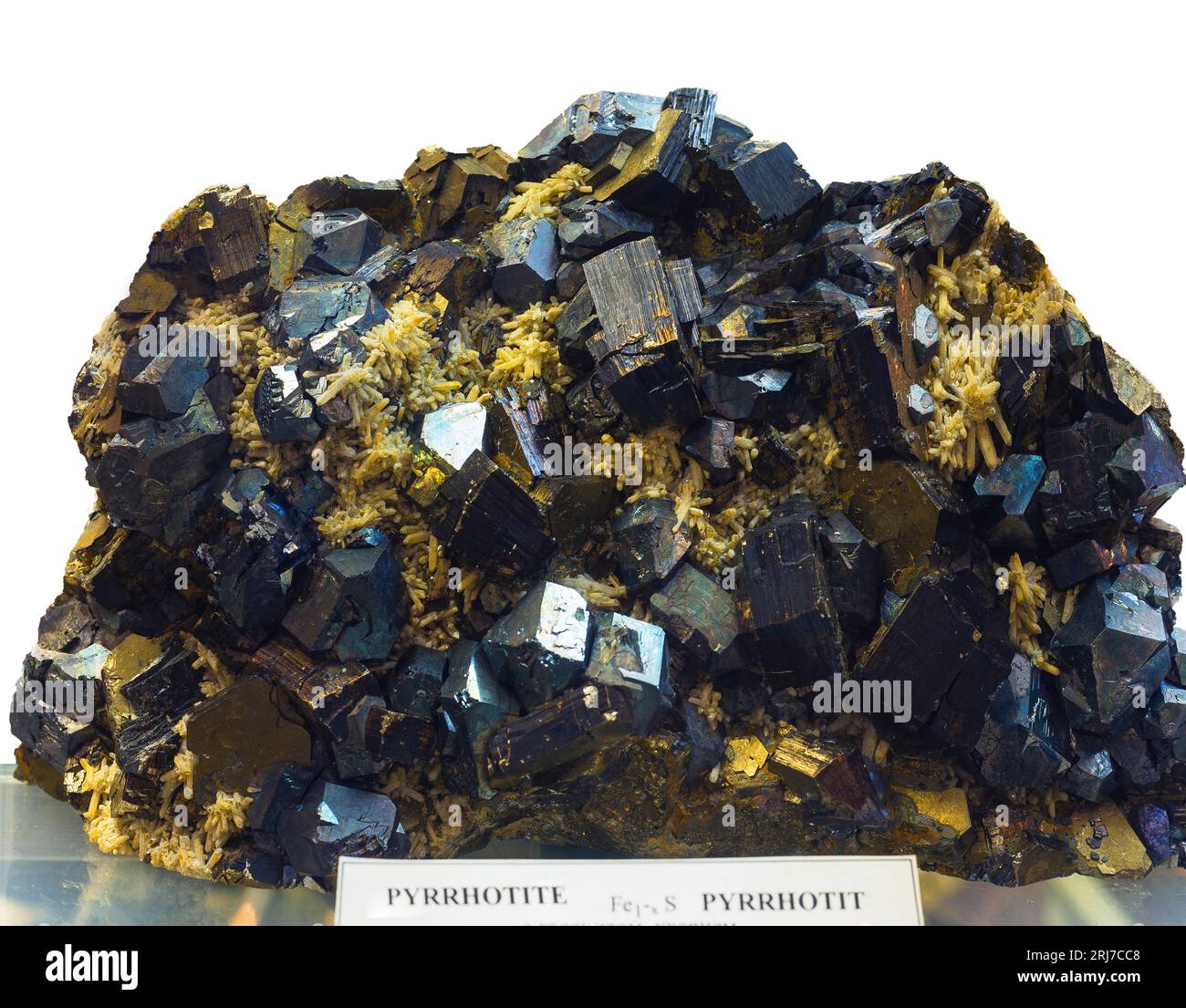 pirrhotite su pezzo di quarzit nel museo di mineralogia, alterato e isolato Foto Stock