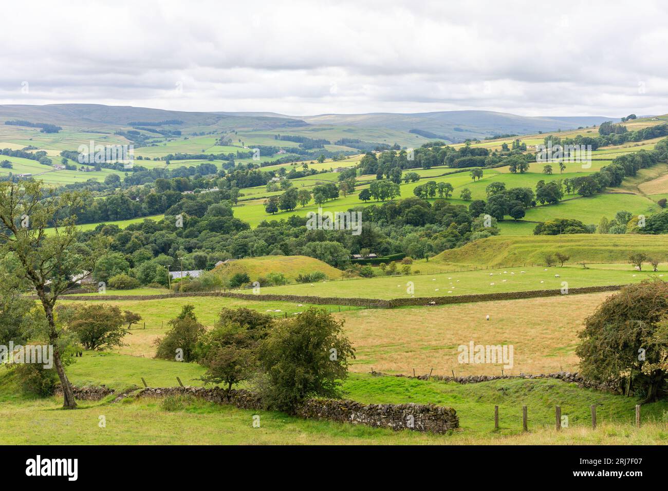 Terreni agricoli (Pennines) vicino a Stanhope, County Durham, Inghilterra, Regno Unito Foto Stock