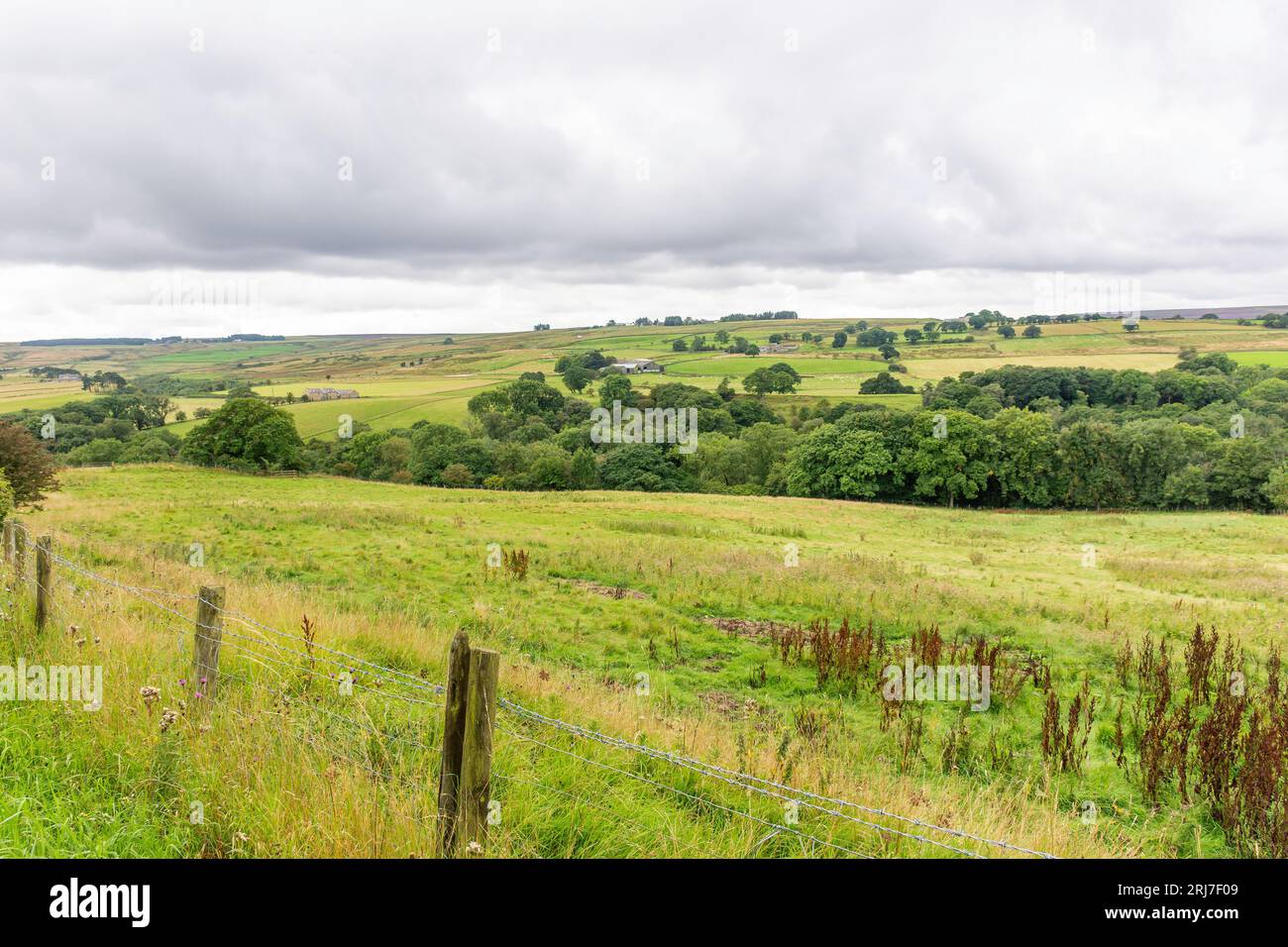 Terreni agricoli (Pennines) a Healeyfield vicino a Consett, contea di Durham, Inghilterra, Regno Unito Foto Stock