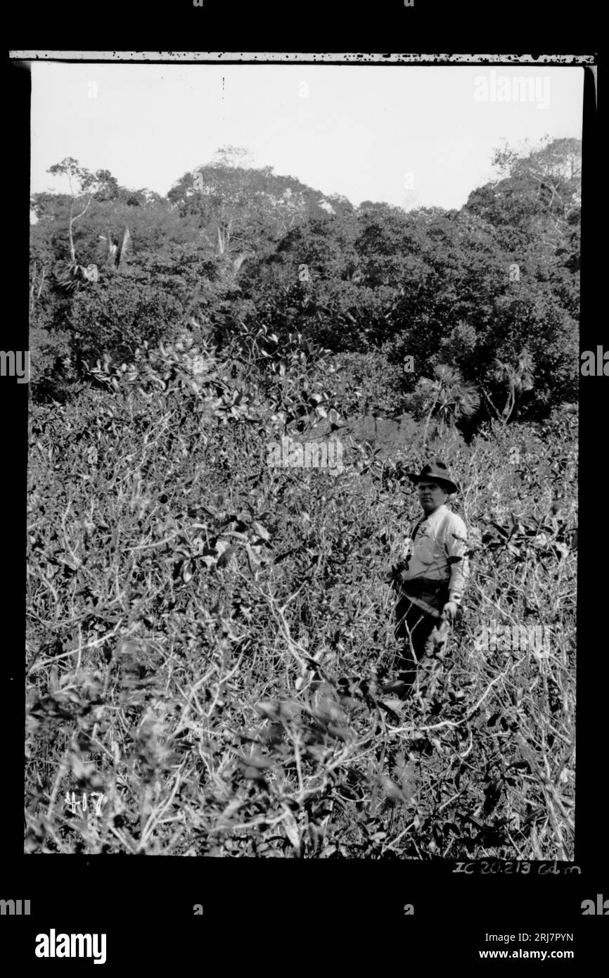 Trabalhador Norte-americano 1910 di Dana B. Merrill Foto Stock