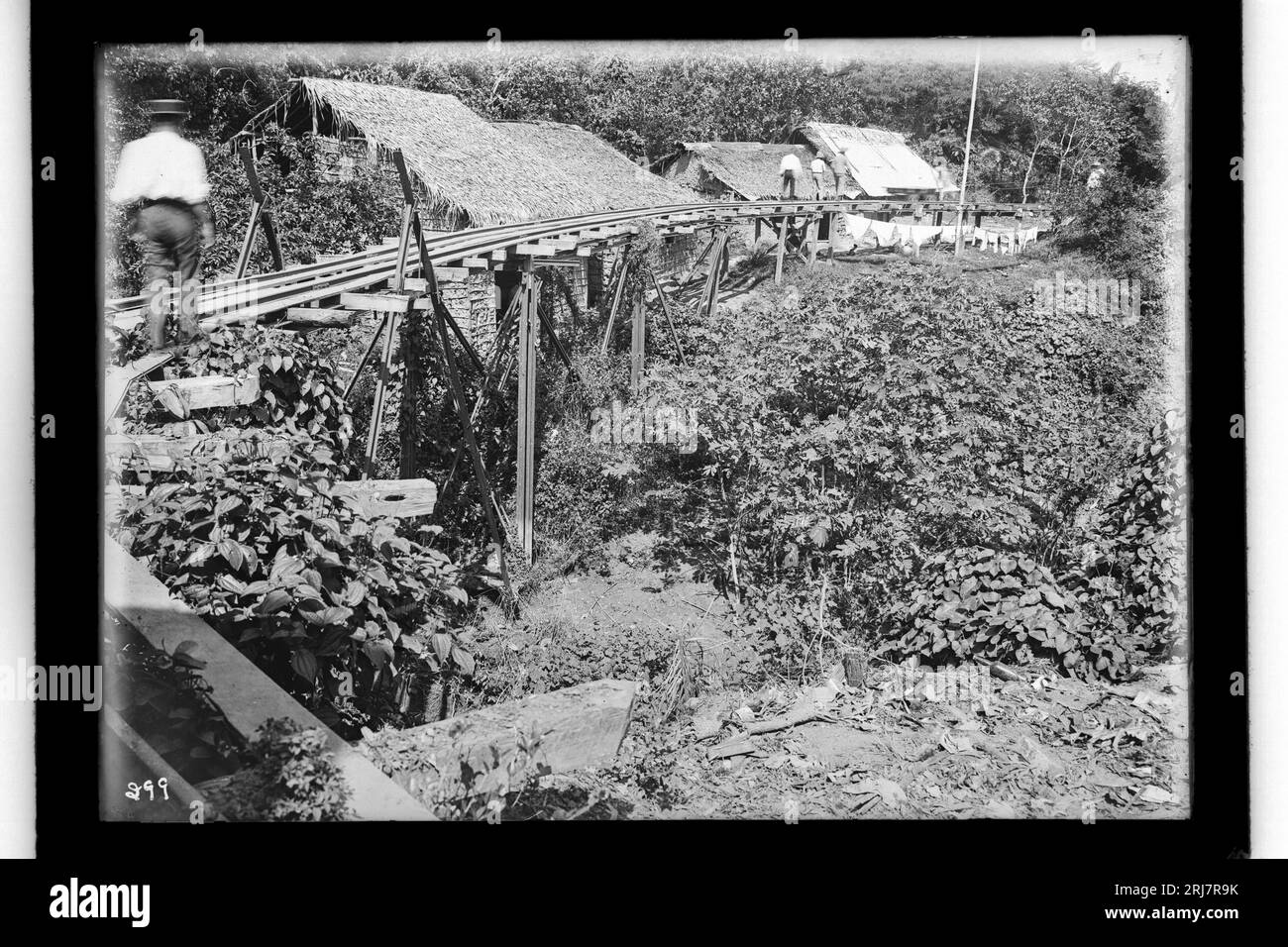 Trecho da ferrovia Madeira-Mamoré - 299 1910 di Dana B. Merrill Foto Stock