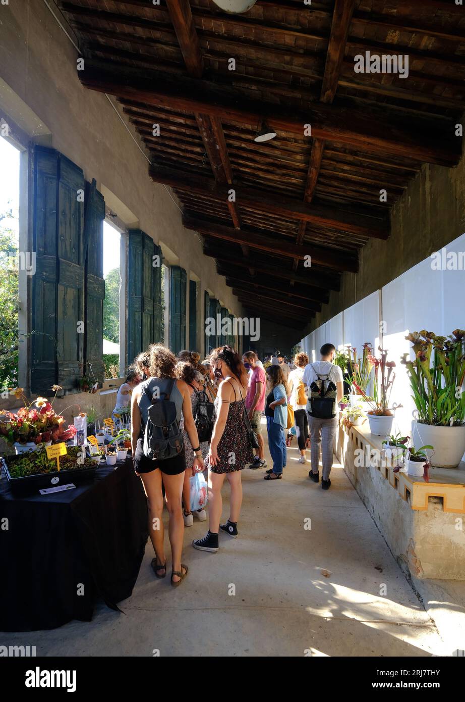 Mostra floreale, mostra mercato di piante rare e insolite, Giardini Corsini, Firenze, Toscana, Italia Foto Stock