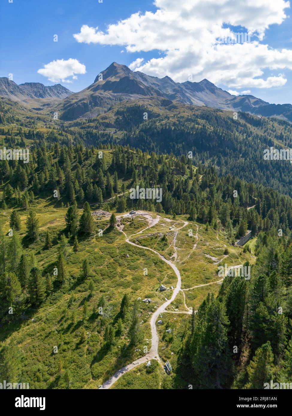 Vista aerea panoramica del sentiero escursionistico che conduce verso le montagne alpine attraverso la verde pineta con cielo blu Foto Stock