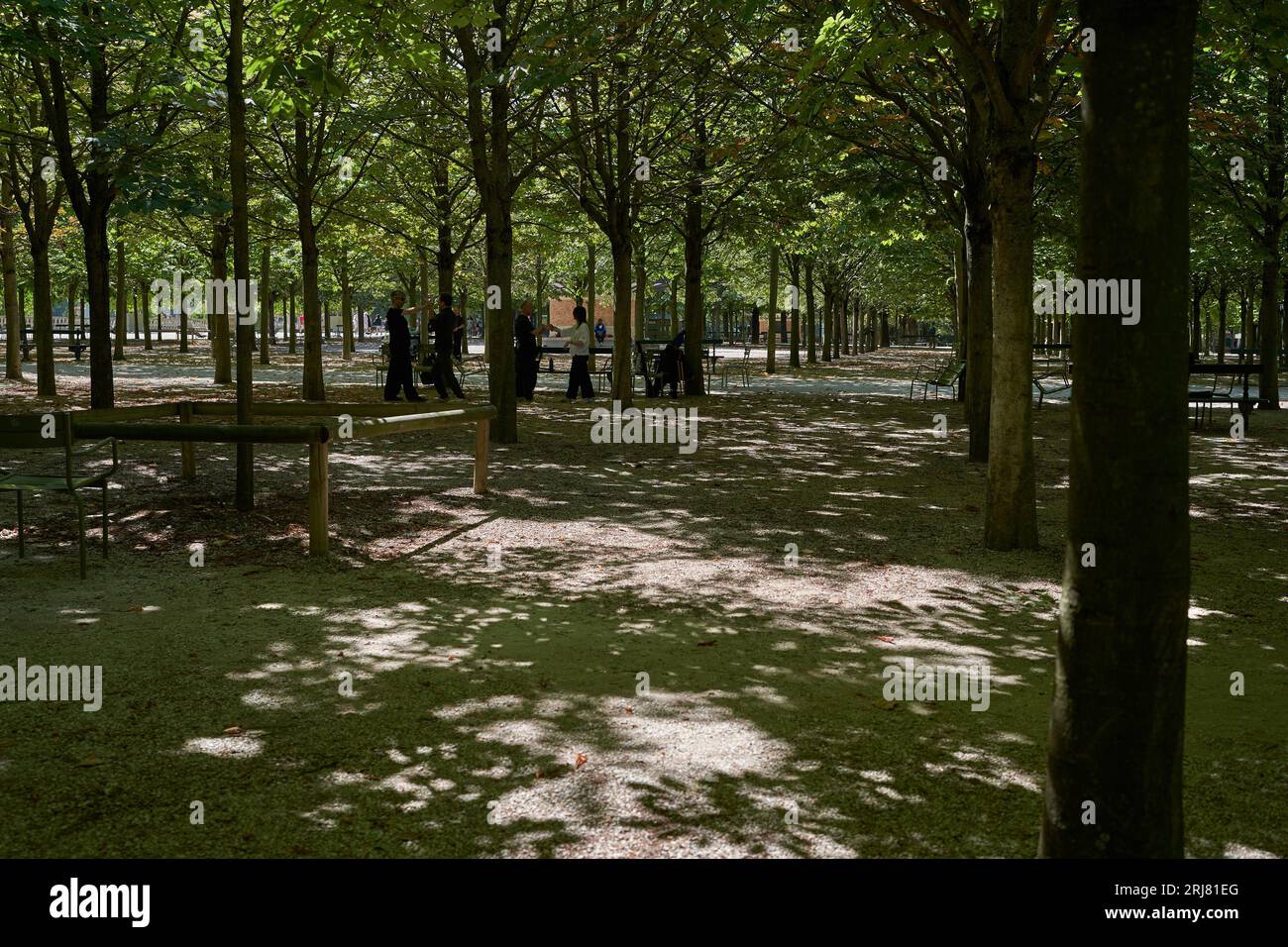 Parigi, Francia - 14 luglio 2023 - Vista del Jardin du Luxembourg. Il secondo parco pubblico più grande di Parigi Foto Stock