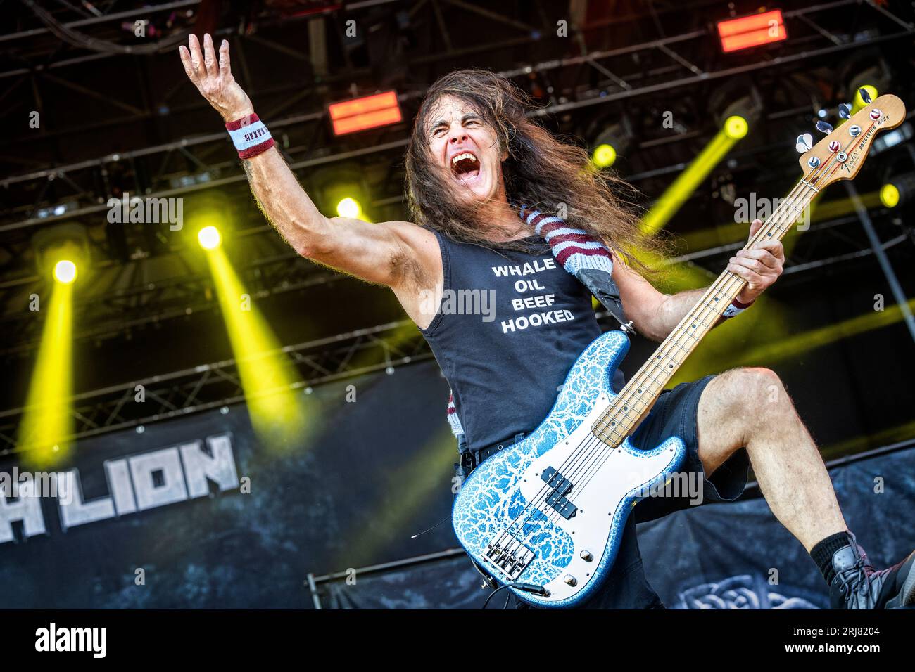 Solvesborg, Svezia. 8 giugno 2023. Il gruppo hard rock britannico British Lion esegue un concerto dal vivo durante il festival svedese Sweden Rock Festival 2023 a Solvesborg. Qui il bassista Steve Harris è visto dal vivo sul palco. (Foto: Gonzales Photo - Terje Dokken). Foto Stock