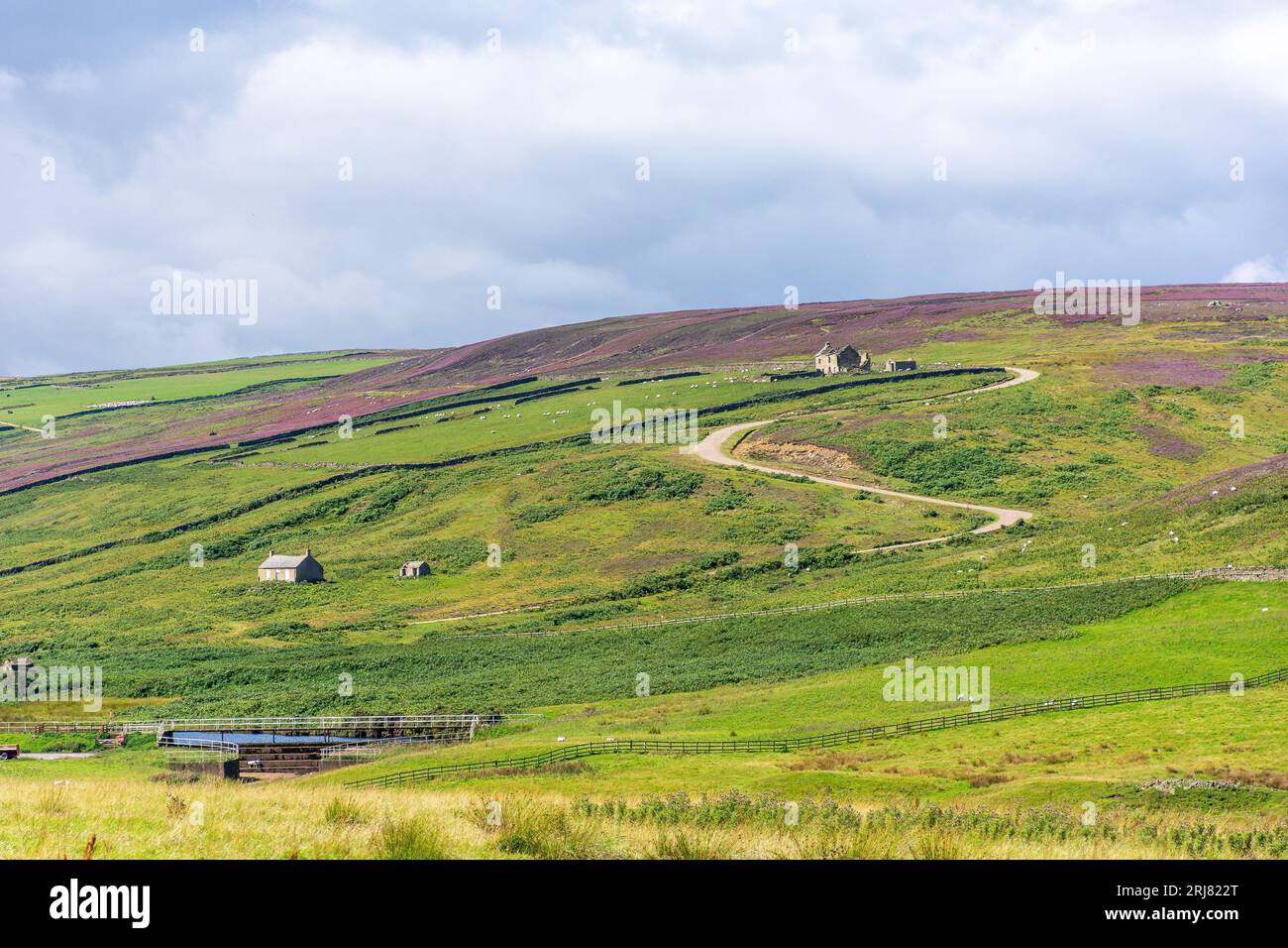 Paesaggio con casale nei North Pennines vicino a Stanhope, County Durham, Inghilterra, Regno Unito Foto Stock