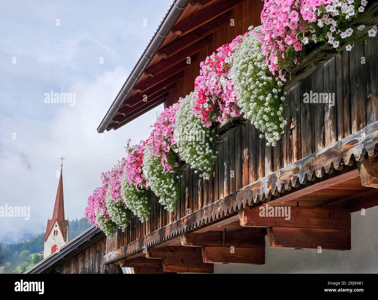 Splendida composizione floreale rosa, rossa e bianca sul balcone della tradizionale casa alpina con campanile della chiesa del villaggio sullo sfondo Foto Stock